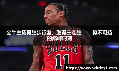 bsports官网入口